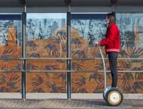 Innovation distinguishes between a leader and a follower. 